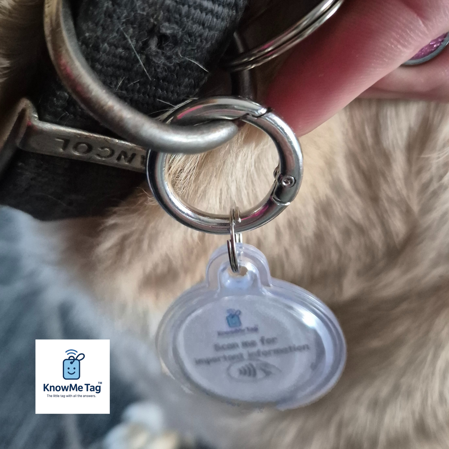 Multi-Purpose utility Key Ring & Pet Tag (larger memory)