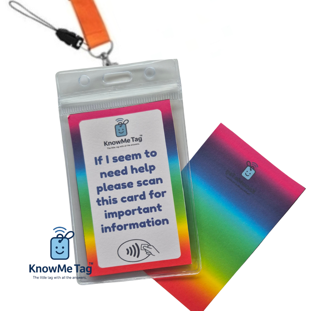 Rainbow Lanyard