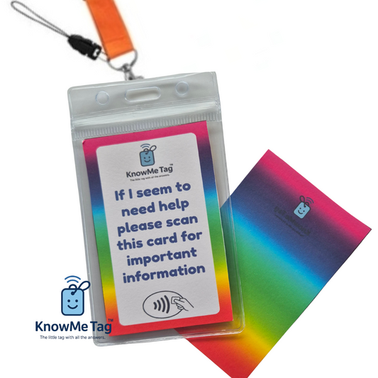 Rainbow Lanyard