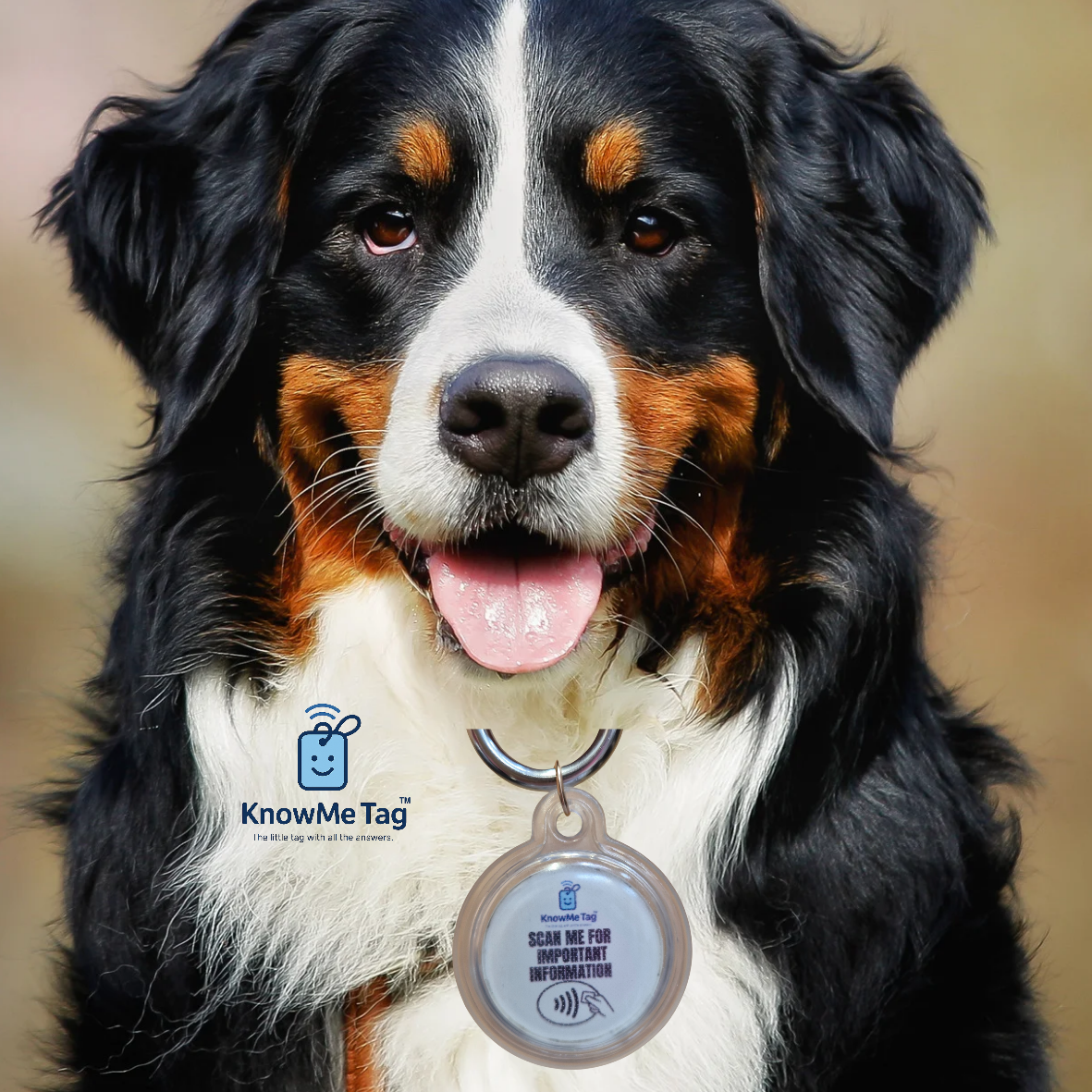 Multi-Purpose utility Key Ring & Pet Tag (larger memory)